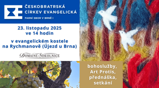 Odpoledne na Rychmanově 23.11.2025