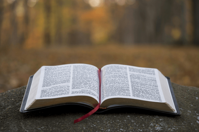 Čteme Bibli